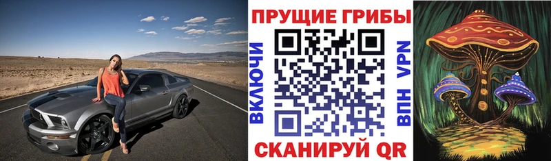 Псилоцибиновые грибы прущие грибы  где продают наркотики  Подольск 